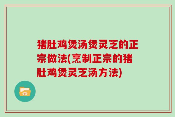 猪肚鸡煲汤煲灵芝的正宗做法(烹制正宗的猪肚鸡煲灵芝汤方法)