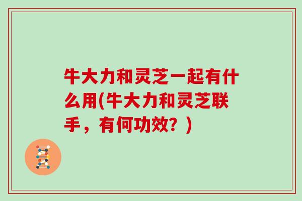 牛大力和灵芝一起有什么用(牛大力和灵芝联手，有何功效？)