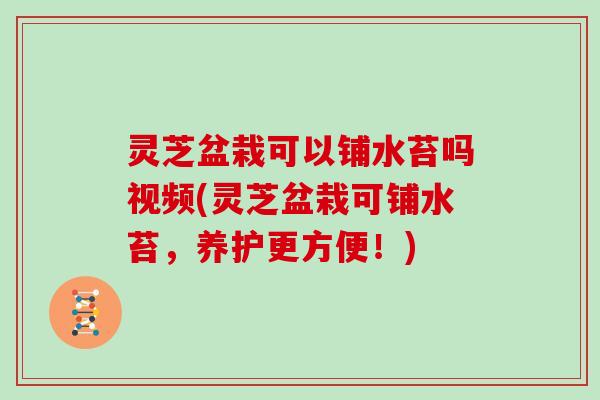 灵芝盆栽可以铺水苔吗视频(灵芝盆栽可铺水苔，养护更方便！)