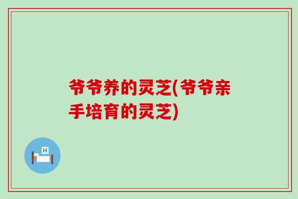 爷爷养的灵芝(爷爷亲手培育的灵芝)