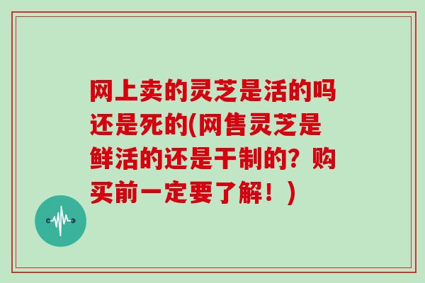 网上卖的灵芝是活的吗还是死的(网售灵芝是鲜活的还是干制的？购买前一定要了解！)