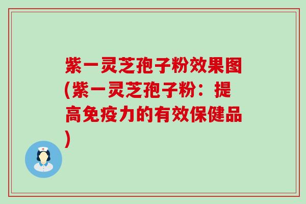 紫一灵芝孢子粉效果图(紫一灵芝孢子粉：提高免疫力的有效保健品)