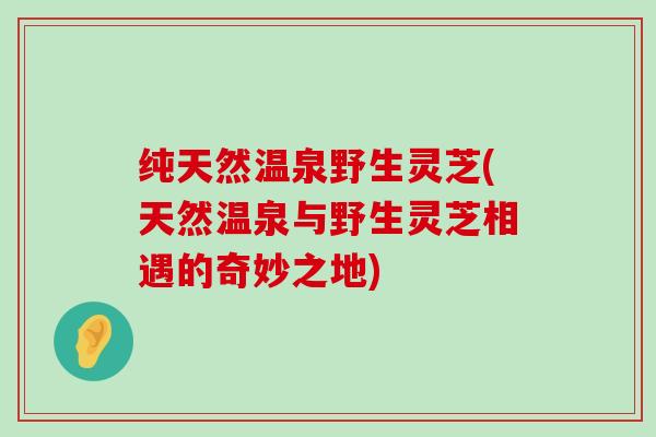 纯天然温泉野生灵芝(天然温泉与野生灵芝相遇的奇妙之地)