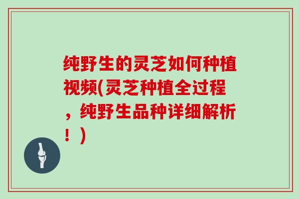 纯野生的灵芝如何种植视频(灵芝种植全过程，纯野生品种详细解析！)