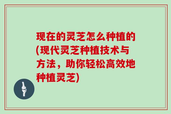 现在的灵芝怎么种植的(现代灵芝种植技术与方法，助你轻松高效地种植灵芝)