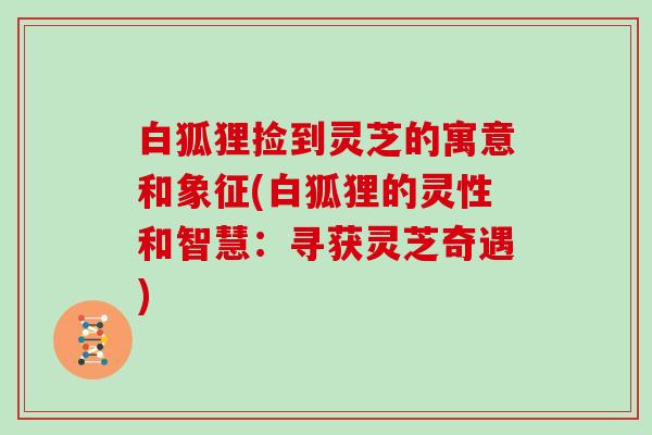 白狐狸捡到灵芝的寓意和象征(白狐狸的灵性和智慧：寻获灵芝奇遇)