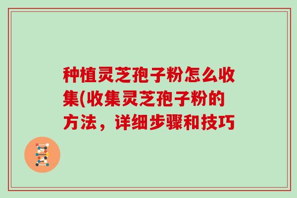 种植灵芝孢子粉怎么收集(收集灵芝孢子粉的方法，详细步骤和技巧