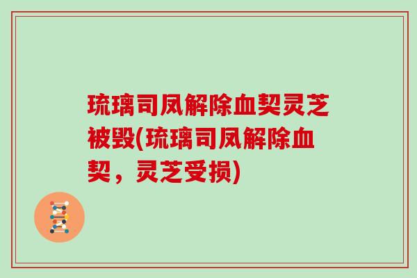 琉璃司凤解除契灵芝被毁(琉璃司凤解除契，灵芝受损)