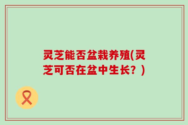 灵芝能否盆栽养殖(灵芝可否在盆中生长？)