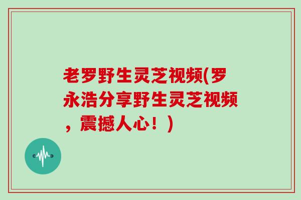 老罗野生灵芝视频(罗永浩分享野生灵芝视频，震撼人心！)