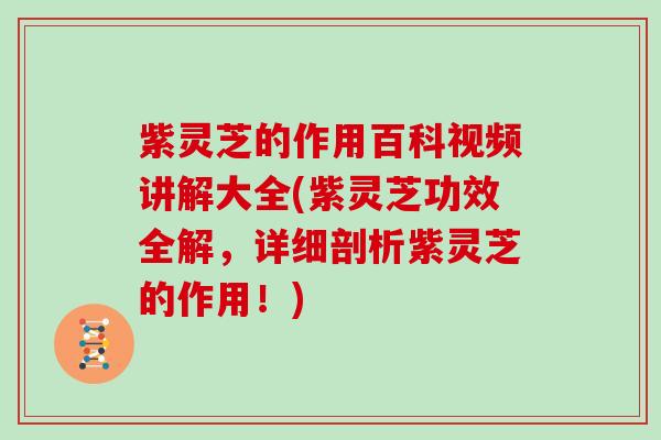 紫灵芝的作用百科视频讲解大全(紫灵芝功效全解，详细剖析紫灵芝的作用！)