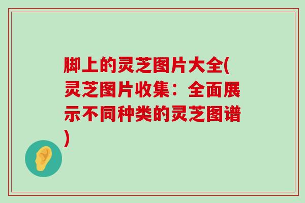 脚上的灵芝图片大全(灵芝图片收集：全面展示不同种类的灵芝图谱)