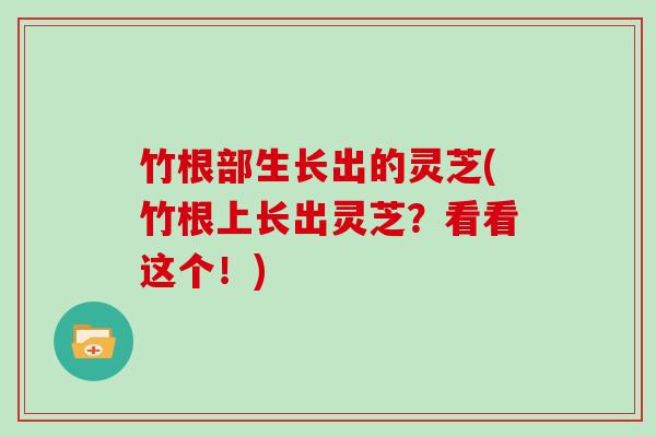 竹根部生长出的灵芝(竹根上长出灵芝？看看这个！)