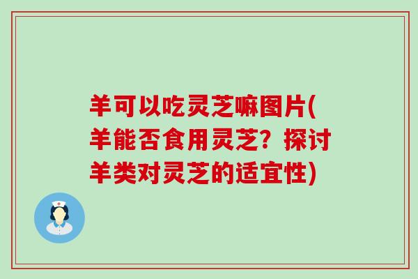 羊可以吃灵芝嘛图片(羊能否食用灵芝？探讨羊类对灵芝的适宜性)