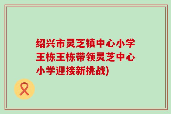 绍兴市灵芝镇中心小学王栋王栋带领灵芝中心小学迎接新挑战)