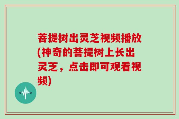 菩提树出灵芝视频播放(神奇的菩提树上长出灵芝，点击即可观看视频)