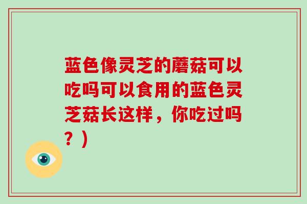 蓝色像灵芝的蘑菇可以吃吗可以食用的蓝色灵芝菇长这样，你吃过吗？)