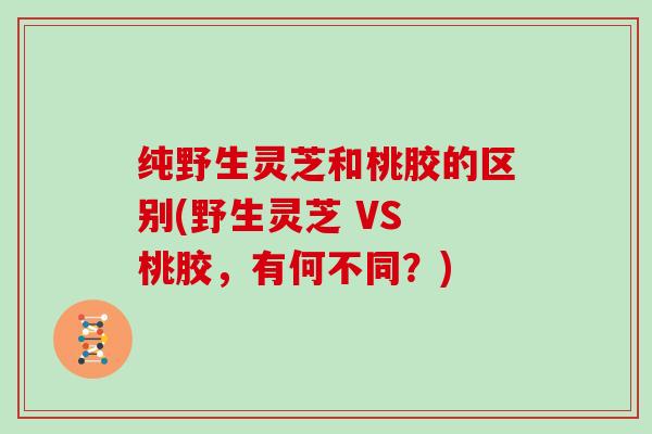 纯野生灵芝和桃胶的区别(野生灵芝 VS 桃胶，有何不同？)