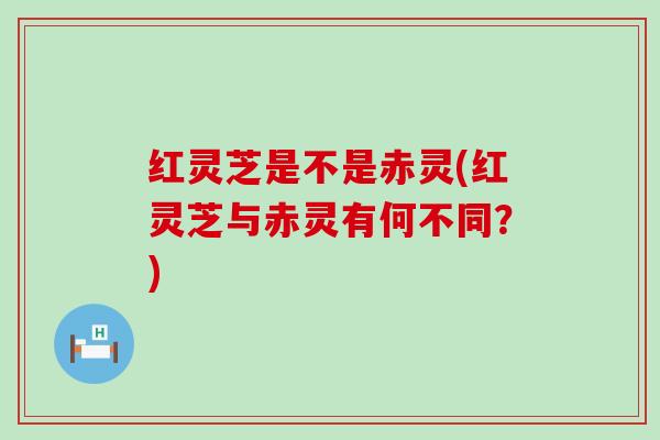 红灵芝是不是赤灵(红灵芝与赤灵有何不同？)