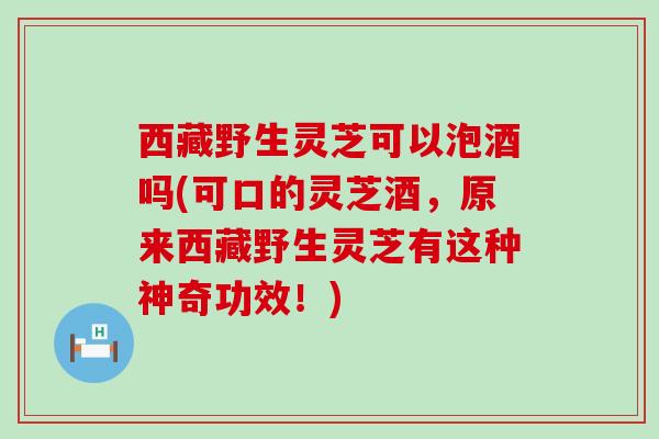 西藏野生灵芝可以泡酒吗(可口的灵芝酒，原来西藏野生灵芝有这种神奇功效！)