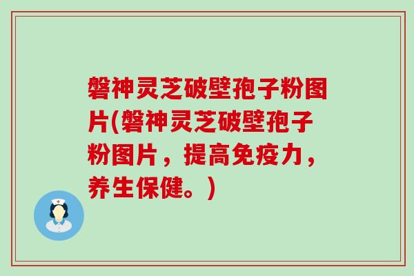 磐神灵芝破壁孢子粉图片(磐神灵芝破壁孢子粉图片，提高免疫力，养生保健。)