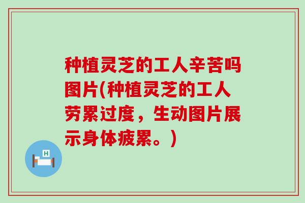 种植灵芝的工人辛苦吗图片(种植灵芝的工人劳累过度，生动图片展示身体疲累。)