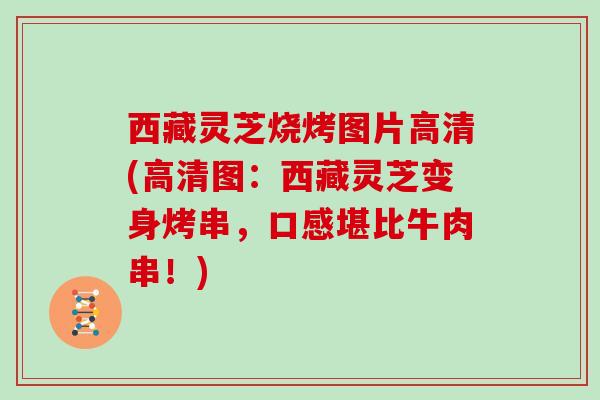 西藏灵芝烧烤图片高清(高清图：西藏灵芝变身烤串，口感堪比牛肉串！)