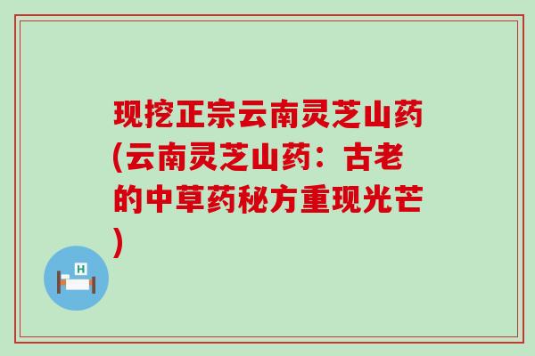 现挖正宗云南灵芝山药(云南灵芝山药：古老的中草药秘方重现光芒)