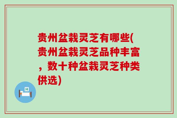 贵州盆栽灵芝有哪些(贵州盆栽灵芝品种丰富，数十种盆栽灵芝种类供选)