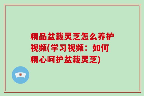 精品盆栽灵芝怎么养护视频(学习视频：如何精心呵护盆栽灵芝)