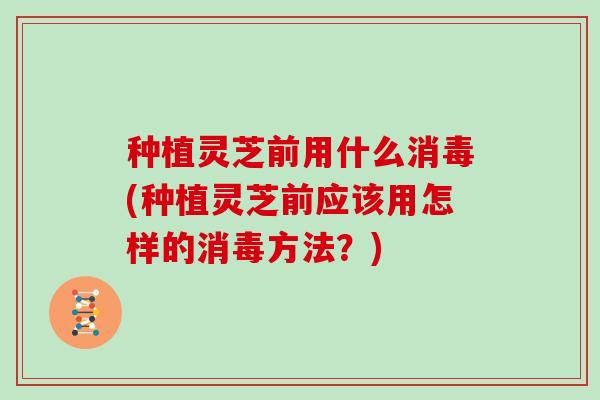 种植灵芝前用什么消毒(种植灵芝前应该用怎样的消毒方法？)