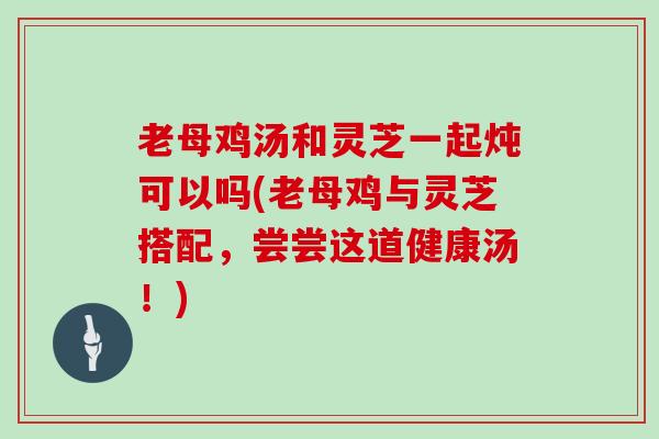 老母鸡汤和灵芝一起炖可以吗(老母鸡与灵芝搭配，尝尝这道健康汤！)