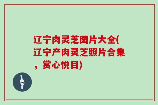 辽宁肉灵芝图片大全(辽宁产肉灵芝照片合集，赏心悦目)