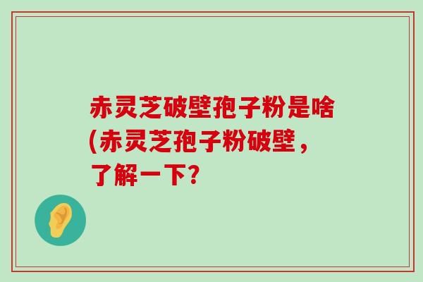 赤灵芝破壁孢子粉是啥(赤灵芝孢子粉破壁，了解一下？