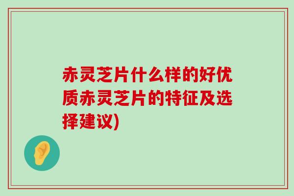 赤灵芝片什么样的好优质赤灵芝片的特征及选择建议)