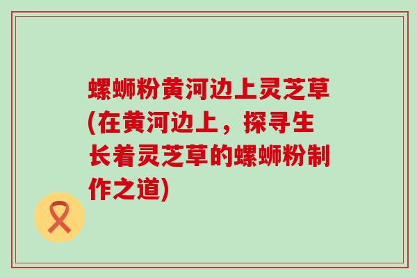 螺蛳粉黄河边上灵芝草(在黄河边上，探寻生长着灵芝草的螺蛳粉制作之道)