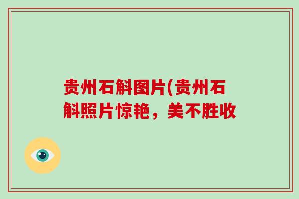 贵州石斛图片(贵州石斛照片惊艳，美不胜收