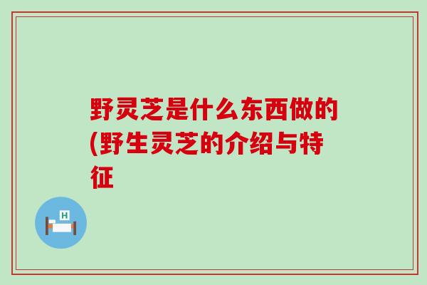 野灵芝是什么东西做的(野生灵芝的介绍与特征