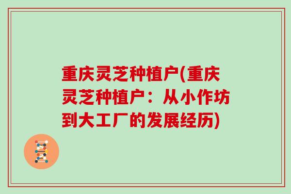 重庆灵芝种植户(重庆灵芝种植户：从小作坊到大工厂的发展经历)