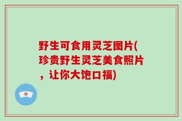 野生可食用灵芝图片(珍贵野生灵芝美食照片，让你大饱口福)