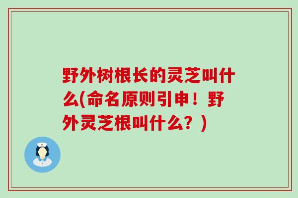 野外树根长的灵芝叫什么(命名原则引申！野外灵芝根叫什么？)