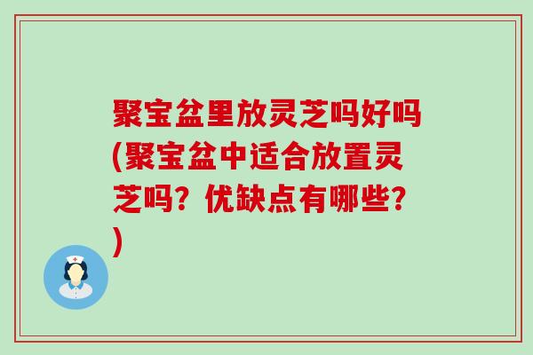 聚宝盆里放灵芝吗好吗(聚宝盆中适合放置灵芝吗？优缺点有哪些？)