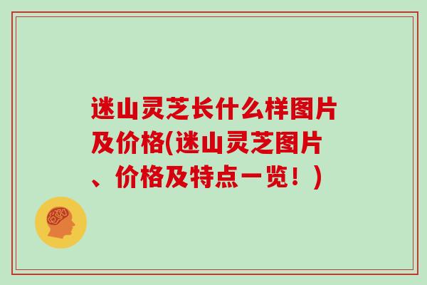 迷山灵芝长什么样图片及价格(迷山灵芝图片、价格及特点一览！)