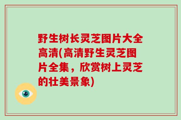 野生树长灵芝图片大全高清(高清野生灵芝图片全集，欣赏树上灵芝的壮美景象)