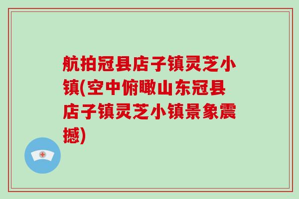 航拍冠县店子镇灵芝小镇(空中俯瞰山东冠县店子镇灵芝小镇景象震撼)