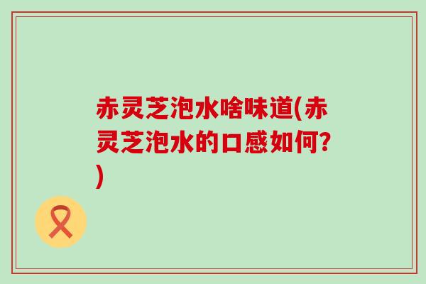 赤灵芝泡水啥味道(赤灵芝泡水的口感如何？)