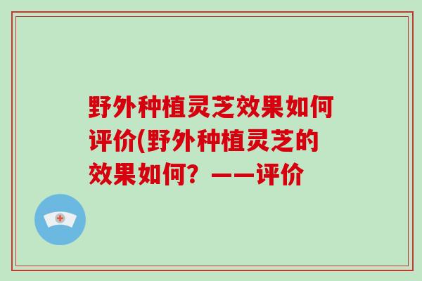 野外种植灵芝效果如何评价(野外种植灵芝的效果如何？——评价