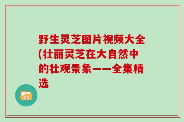 野生灵芝图片视频大全(壮丽灵芝在大自然中的壮观景象——全集精选