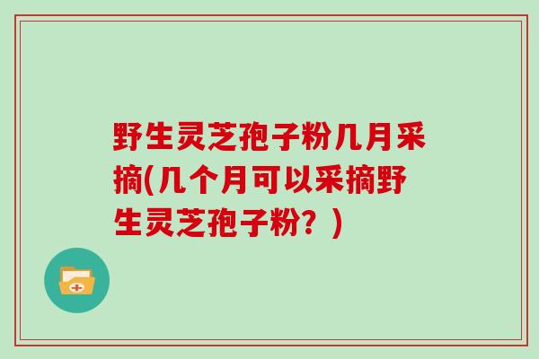 野生灵芝孢子粉几月采摘(几个月可以采摘野生灵芝孢子粉？)