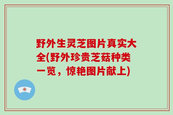 野外生灵芝图片真实大全(野外珍贵芝菇种类一览，惊艳图片献上)